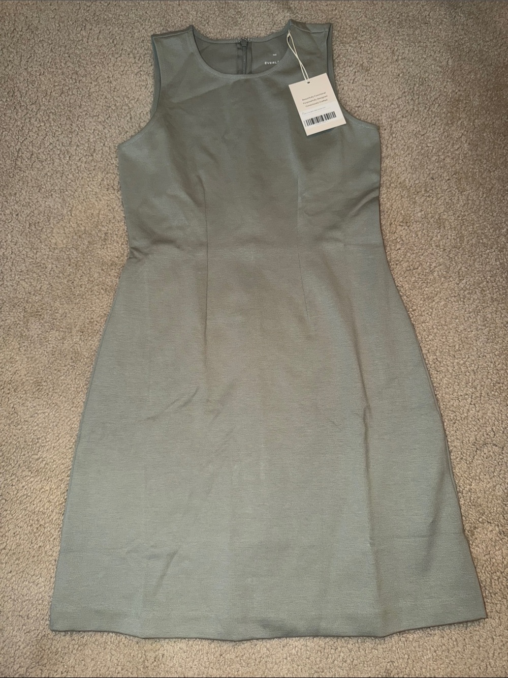 Everlane Sleeveless Mini Dress in Sage
